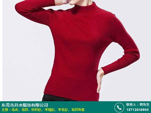 北京童装毛衣那个牌子的好厂家直招代理商 井水服饰