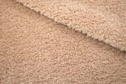 寒冬里的常青藤 摇粒绒,你了解多少