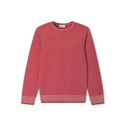 吉犬旺新禧，Lacoste针织相伴迎新春